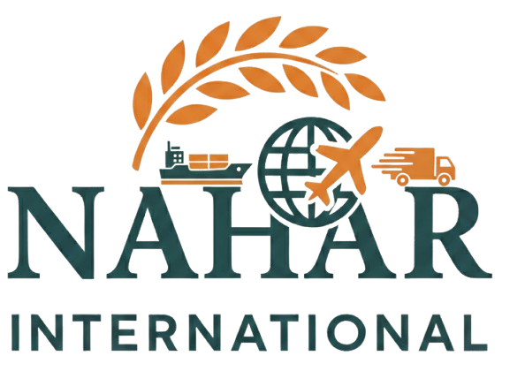 876 removebg preview